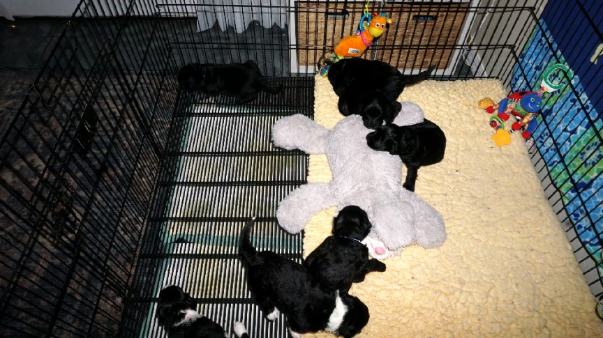 Easy potty training
