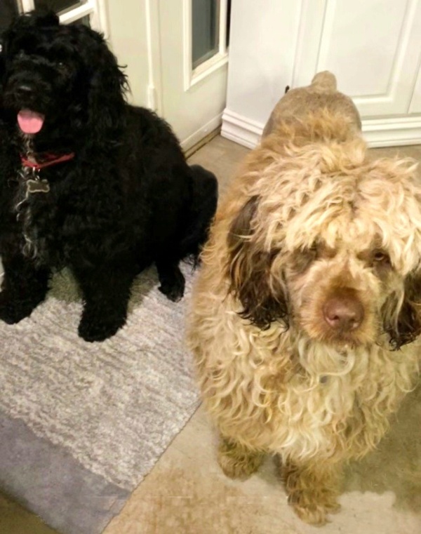 Alex holding their PWD puppy