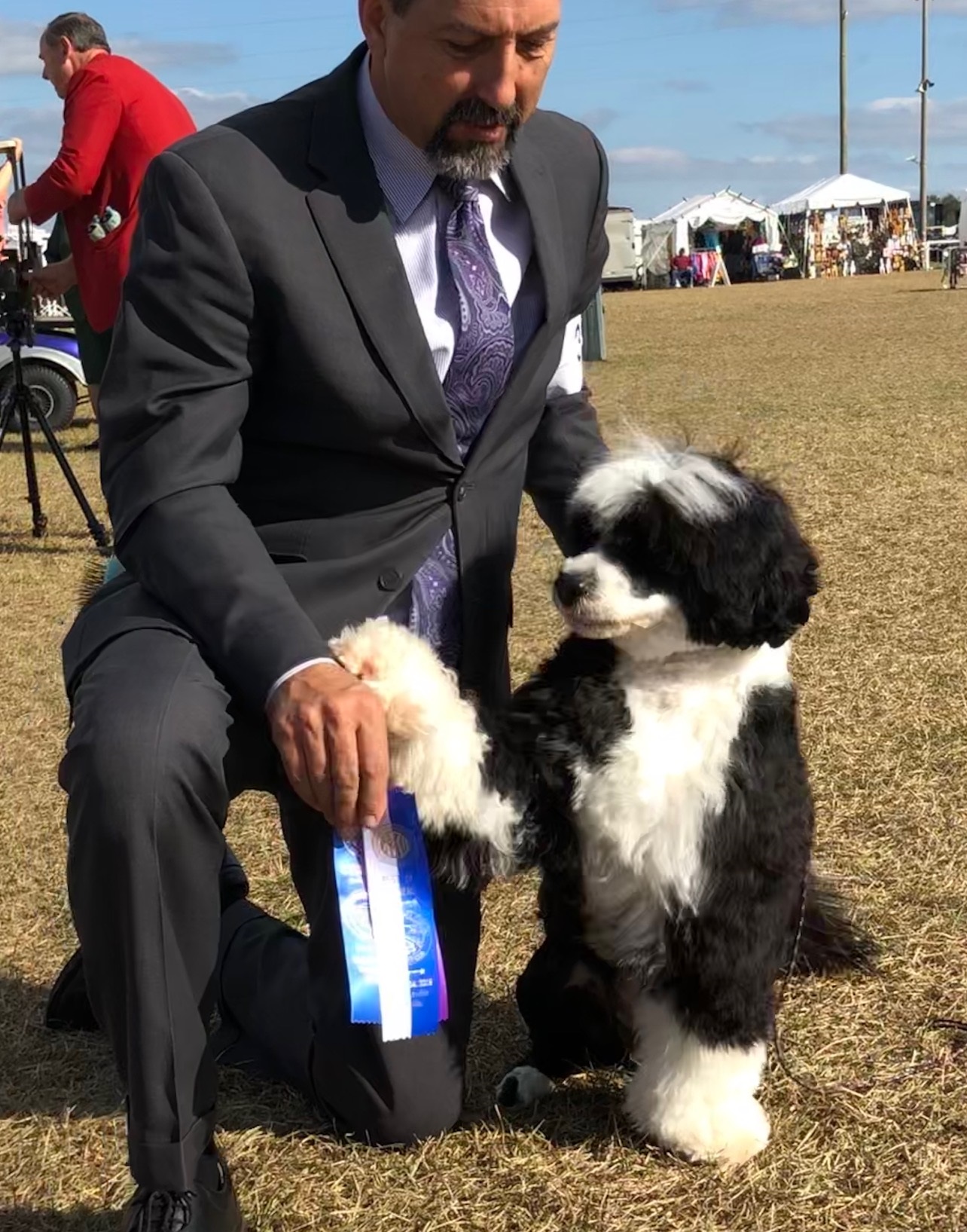 Candi, Caladesi Portuguese Water Dog