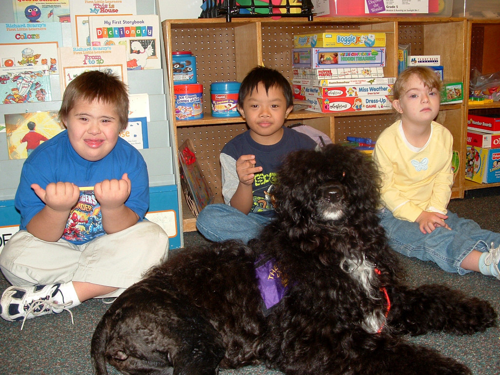 Delta, a Caladesi Portuguese Water Dog