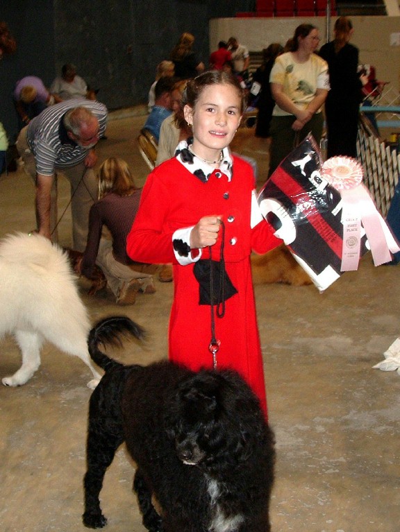 Delta, a Caladesi Portuguese Water Dog